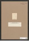 Navicula sp. (de-Toni-Nr.: Genus 1) Zeichnungen Sammlung Grunow Nr. 1596 (NHMW-BOT-W0368139)